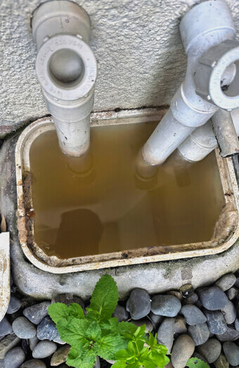 https://plumberhilton.com.au/uploads/2025/06/blocked-drains-912576.jpg