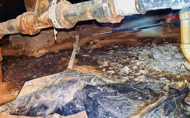 https://plumberhilton.com.au/uploads/2025/06/plumbing-73706.jpg